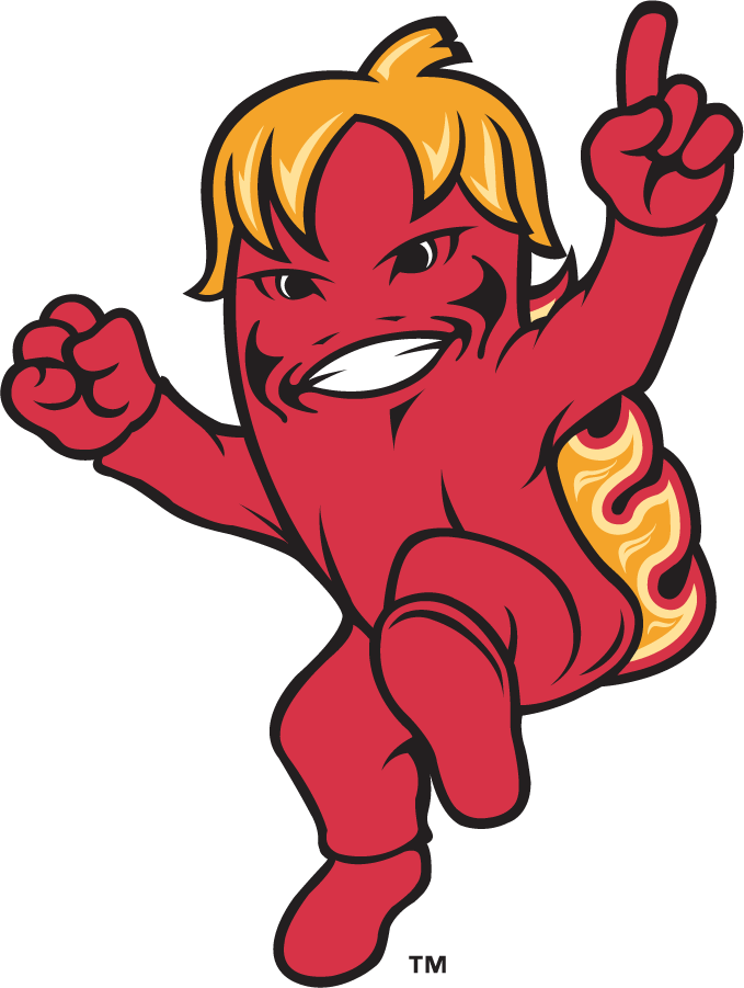 Louisiana Ragin Cajuns 2000-2006 Mascot Logo v6 diy iron on heat transfer